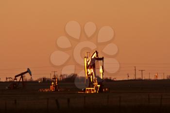 Oil pumps in Saskatchewan field