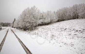 Winter day in the Cypress Hills of Saskatchewan