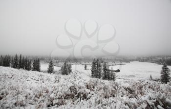 Heavy snow and ice fog in Cypress Hills