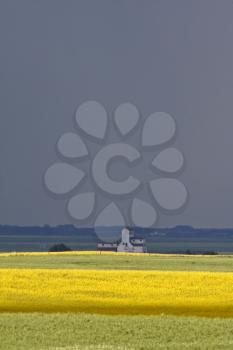 Flax and canola crops in Saskatchewan