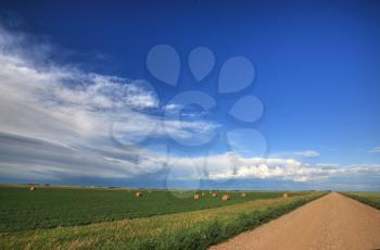 Hay bales in field beside Saskatchewan country road