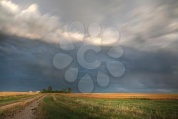 Storm clouds along a Saskatchewan farm road