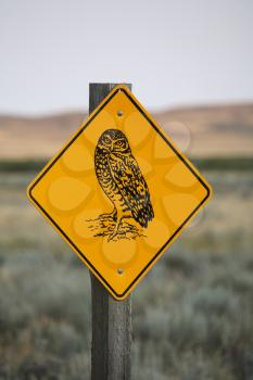 Burrowing Owl road sign in scenic Saskatchewan