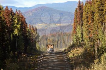 Approaching logging truck in beautiful British Columbia