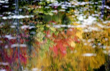 Algonquin Park Muskoka Ontario fall autumn colors