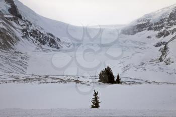 Columbia Icefields Alberta Rocky Mountains winter Canada