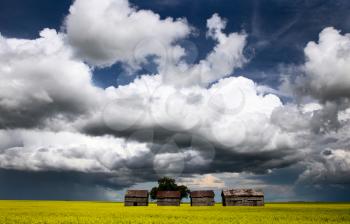 Storm Clouds Saskatchewan shelf cloud ominous warning