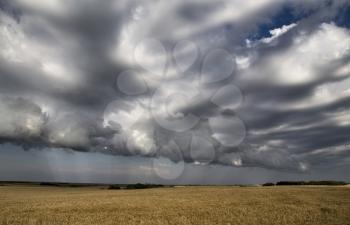 Storm Clouds Saskatchewan Prairie scene Canada Farm
