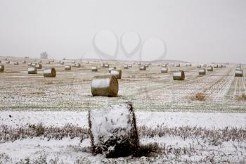 Hay Bales in winter in saskatchewan Canada