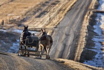 Horses and Carriage in Saskatchewan Canada rural