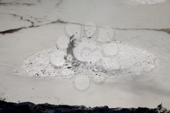 Rotorua Mud Pools New Zealand Thermal Area