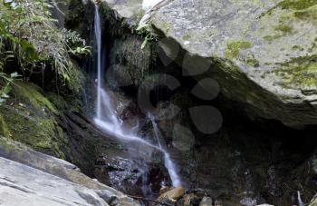 Waterfall Picton New Zealand lush rain forest