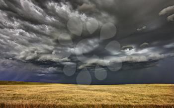 Prairie Storm Saskatchewan shelf cloud danger warning