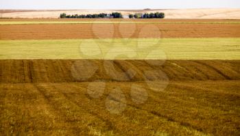 Prairie Scene Saskatchewan summer crop harvest Canada