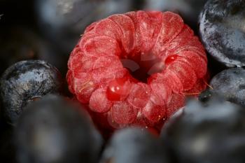 Macro Close Up Fruit Rasberry and blueberry