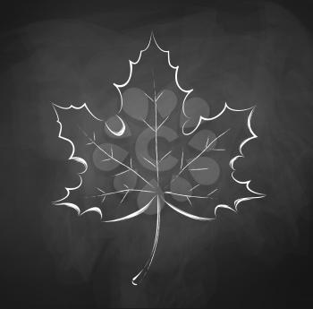 Autumn leaf. Chalkboard drawing. Vector illustration.