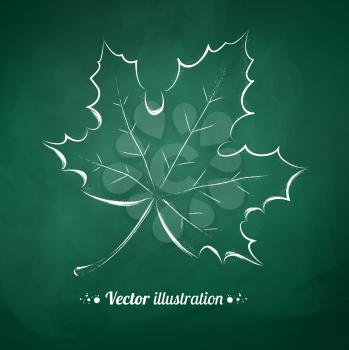 Chalkboard drawing of autumn leaf. Vector illustration. Isolated.