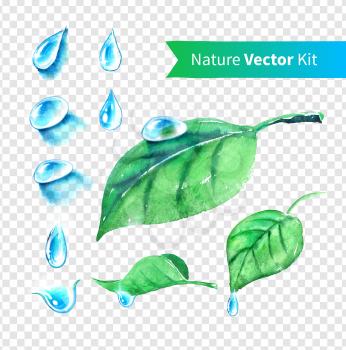 Hand drawn water drops and leaves set on transparent background. Vector EPS 10. Isolated