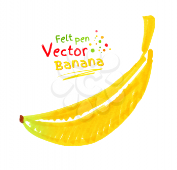 Vector felt pen childlike drawing of banana.