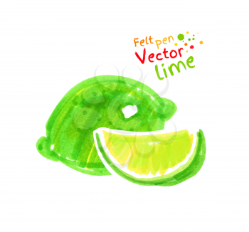 Vector felt pen child drawing of lime.