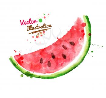 Vector watercolor hand drawn watermelon.