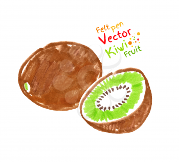 Vector felt pen child drawing of kiwi fruit.