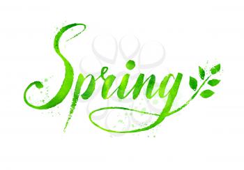 Spring word grunge watercolor hand drawn vector lettering on white background with tree branch and leaves.