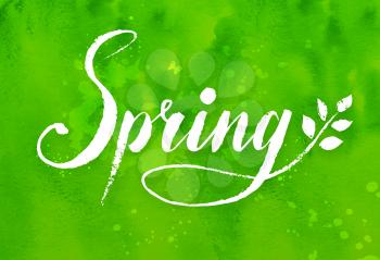 Spring word grunge hand drawn vector lettering on green watercolor background with tree branch and leaves.