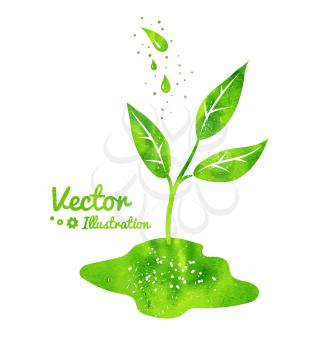 Vector illustration of growing sprout and water drops with green watercolor texture.