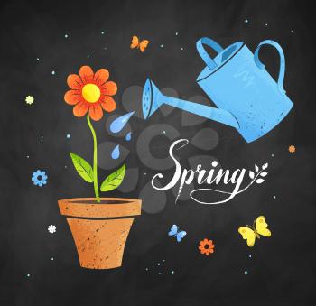 Gardening vector illustration with watering can and flower in pot on black chalkboard background.