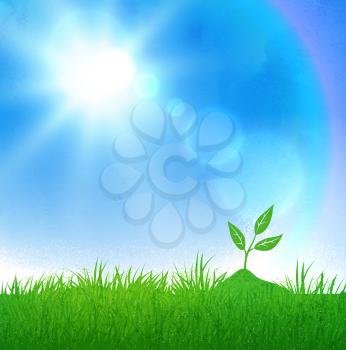 Green grass and growing sprout on blue sky and sunlight background.