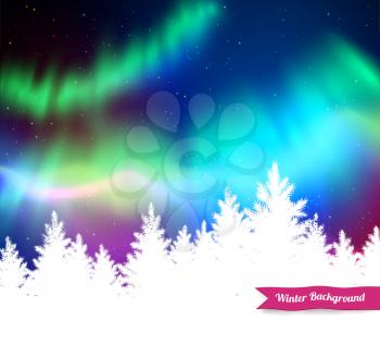 Winter landscape background with northern lights and white spruce forest silhouette. 