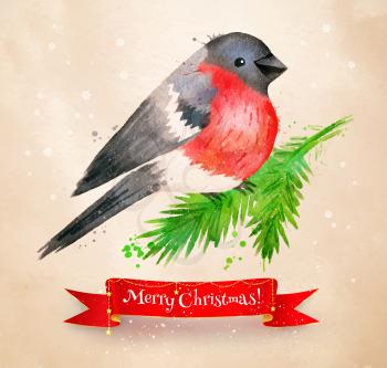 Christmas vintage vector watercolor postcad with bullfinch bird sitting on fir-tree branch and red ribbon banner
