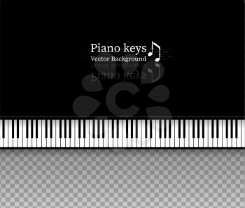 Vector illustration of top view Piano keys on transparency background.