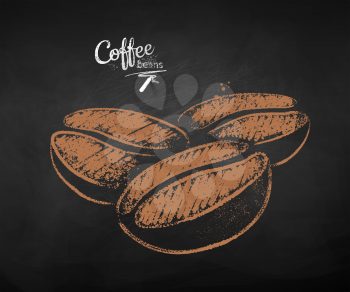 Vector chalk drawn sketch of three coffee beans on chalkboard background.