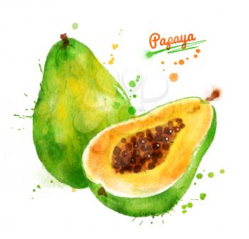 Watercolor illustration of papaya, whole and half with paint smudges and splashes.
