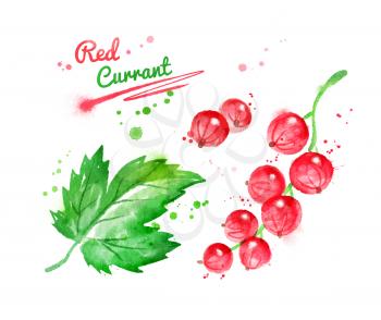 Watercolor illustration of red currant and leaf with paint smudges and splashes.
