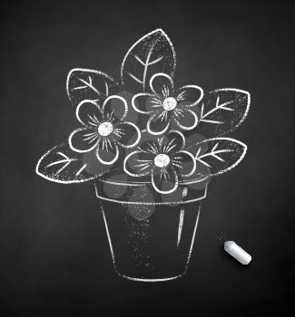Vector black and white chalk drawn illustration of flower in pot on black chalkboard background.