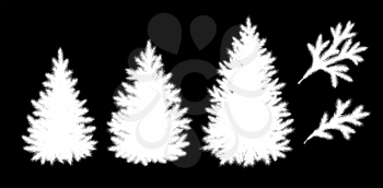 Spruce trees and branches silhouettes isolated on black background vector collection.