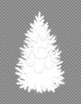 Vector illustration set of white silhouette of Christmas tree on transparency background.