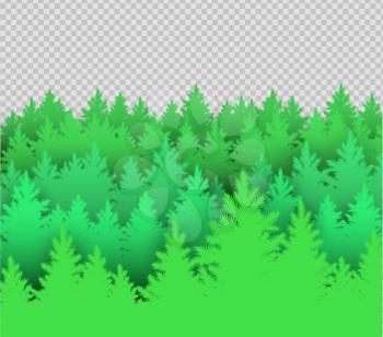 Vector illustration of green spruce forest landscape silhouette on transparency background.
