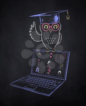 Owl in mortarboard sitting on laptop with live conference. Vector color chalk drawn illustration of online education concept on black chalkboard background.