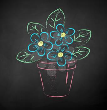 Vector color chalk drawn illustration of flower in pot on black chalkboard background.