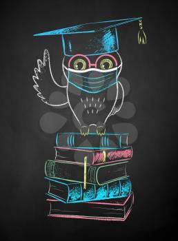 Vector chalk illustration of student owl sitting on books and wearing face mask on black chalkboard background.