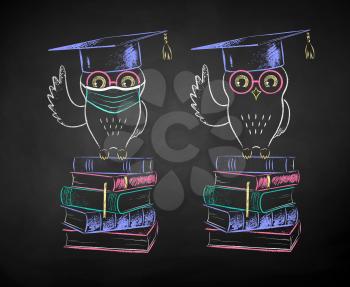 Vector chalk drawn illustrations of student owl sitting on books with and without face mask on black chalkboard background.