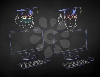 Vector chalk drawn illustrations of student owl sitting on desktop screen with and without face mask on black chalkboard background.