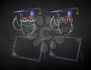Vector chalk drawn illustrations of student owl sitting on digital tablet with and without face mask on black chalkboard background.