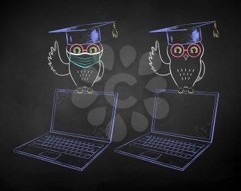 Vector chalk drawn illustrations of student owl sitting on laptop with and without face mask on black chalkboard background.