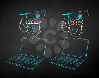 Vector chalk drawn illustrations of student owl sitting on laptop with and without face mask on black chalkboard background.
