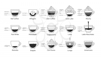 Vector minimalistic line art infographic illustration set of coffee recipes isolated on white background.